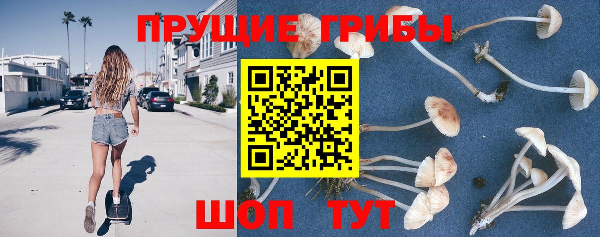 Галлюциногенные грибы MAGIC MUSHROOMS  Вход с VPN  Пыть-Ях 